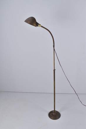 main photo of Shell Floor Lamp with Flexible Arm