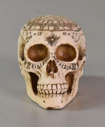 main photo of Human Skull w/ Astrology Carvings