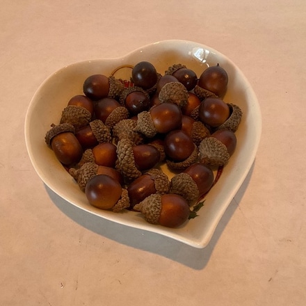 main photo of Bowl of chestnuts