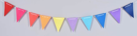 main photo of Party Flags