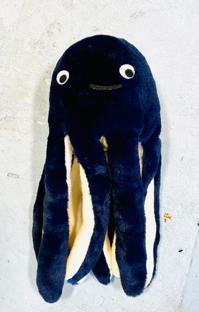 main photo of Cleared Octopus Stuffed Animal