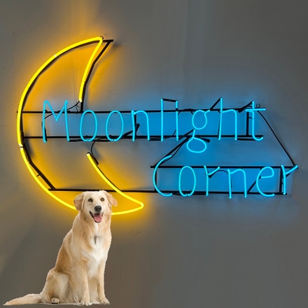 main photo of MOONLIGHT CORNER
