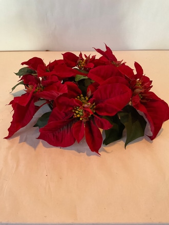 main photo of Poinsettia Centerpiece or Wreath