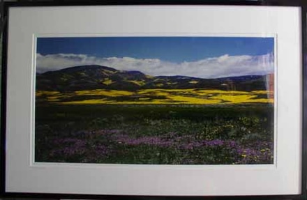 main photo of Antelope Valley
