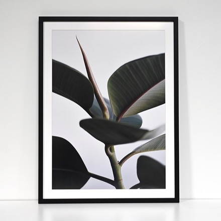 main photo of Large Framed Print: Green Home 02