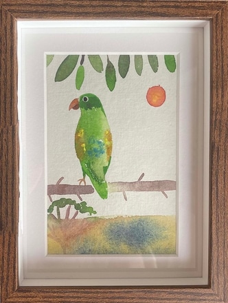 main photo of Green Parrot