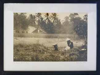 main photo of Balinese Worker