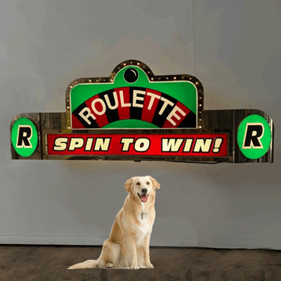 main photo of ROULETTE #05