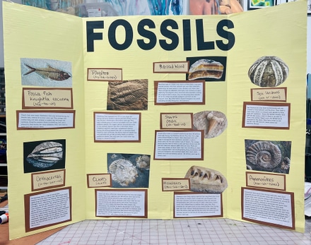 main photo of Fossils Presentation