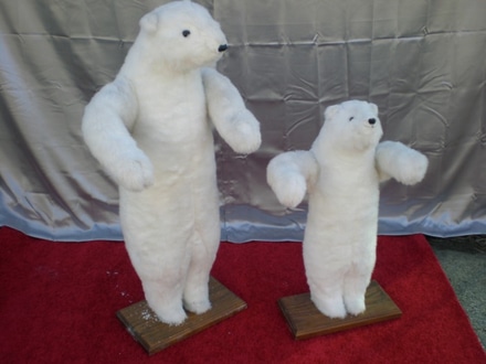 main photo of Standing polar bears. 5' and 3'