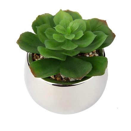 main photo of Faux Plant