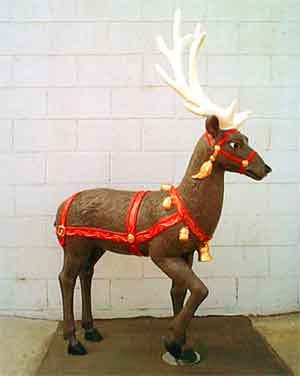 main photo of Reindeer