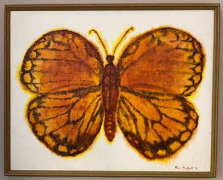 main photo of Butterfly