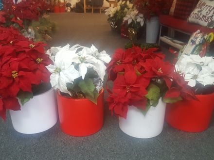 main photo of 9" H 10" Diameter red and white planter pots
