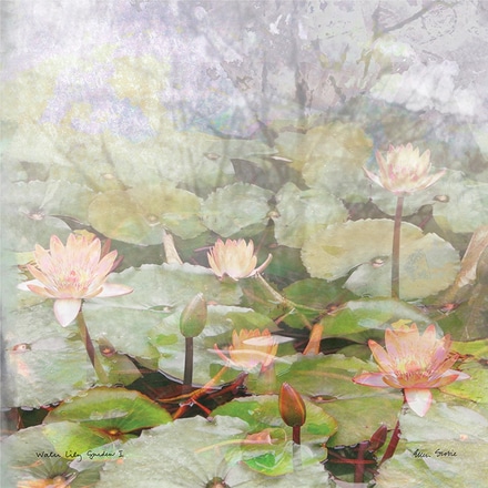 main photo of Water Lily Garden 1