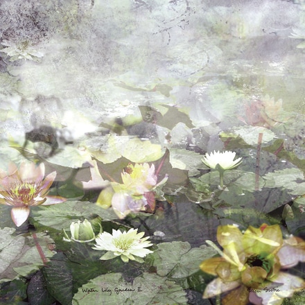 main photo of Water Lily Garden 2