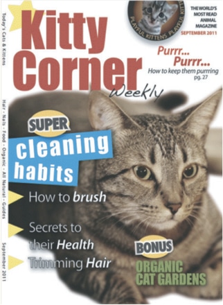 main photo of Kitty Corner Magazine