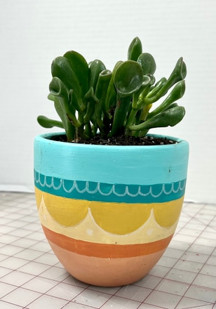 main photo of Live Plant in hand painted pot