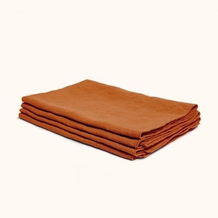 main photo of Terracotta Placemat Set