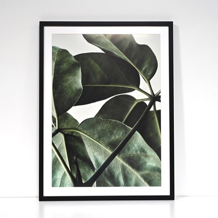 main photo of Large Framed Print: Green Home 01