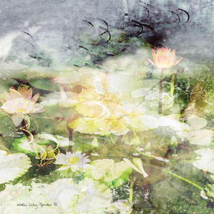 main photo of Water Lily Garden 3