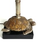 Brown Turtle Lamp