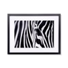 Zebra Maze