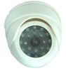 Outdoor PTZ Security Cameras, White Dome Security Camera