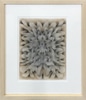 Symbiosis 38