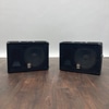 Stereo Wedge Speakers