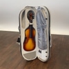 Violin with Case