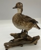 Duck on Wood