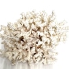 Natural Coral sculpture