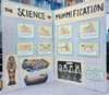 Mummification Presentation board