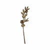 Decorative Brass, Metal Flower Stem