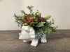 SILK Dinosaur Arrangement B