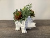 SILK Dinosaur Arrangement B