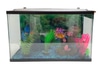 Fish Tank - Aquarium; Glass with black lid,