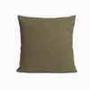 Fern Green Throw Pillow