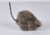 Fake Mouse