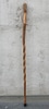 Tall Walking Stick