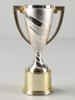 Volunteer of the Year Award