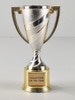 Volunteer of the Year Award