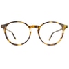 Lafont Genie 532 Bright Tortoiseshell 49-17