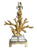 Guilded Porcelain Coral Lamp