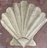 6 Seashell cutouts