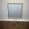 DA-Lite Silver King Projector Screen