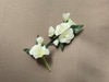 Cream Mini Carnation Corsage