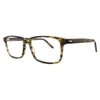 Barton Perreira Eero SUT Olive Tortoise 56-18