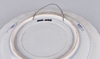 Blue and White Porcelain Hanging Charger